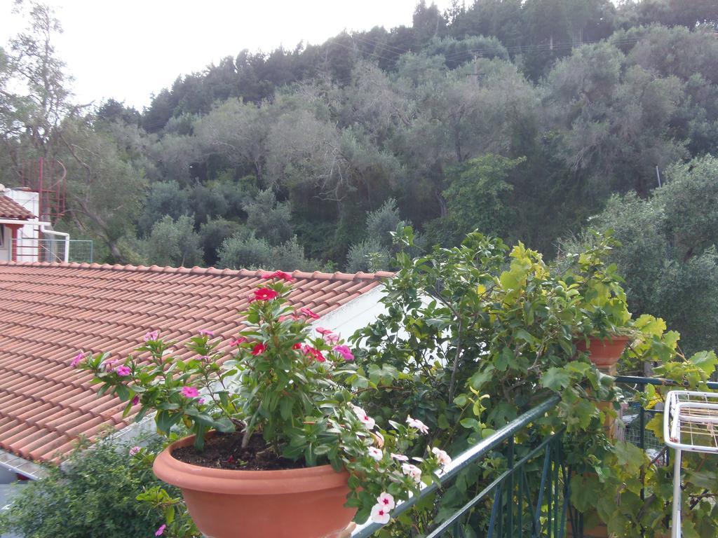Konstantina Apartment Λάκκα Εξωτερικό φωτογραφία